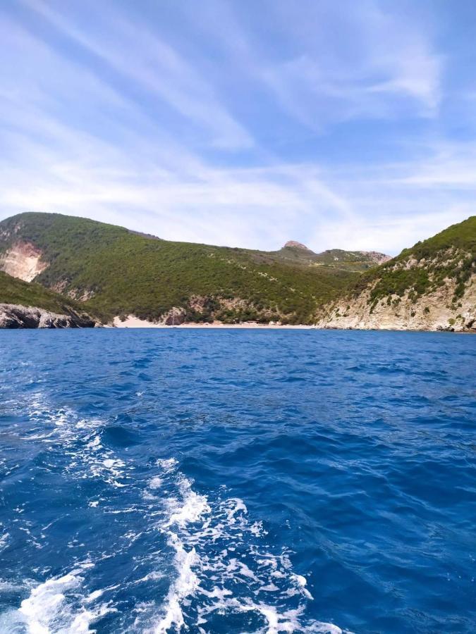 Bok Petrovac